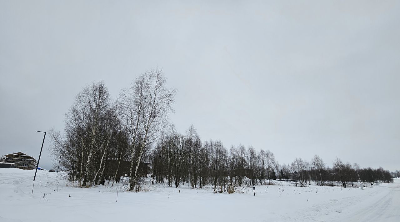 земля городской округ Можайский Бейсайд Резиденс кп, 247 фото 6