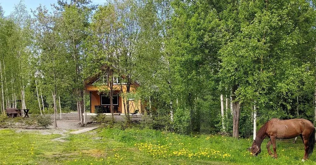 дом р-н Питкярантский д Янис ул Молодежная 4 фото 3
