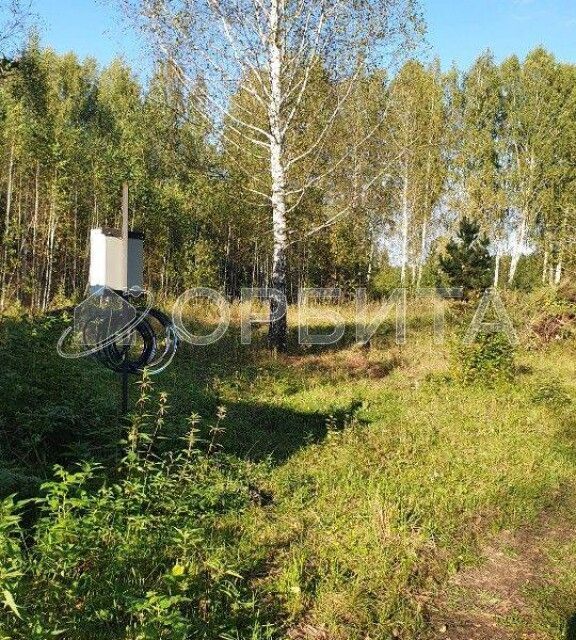 земля р-н Нижнетавдинский СНТ Геолог-2 фото 1