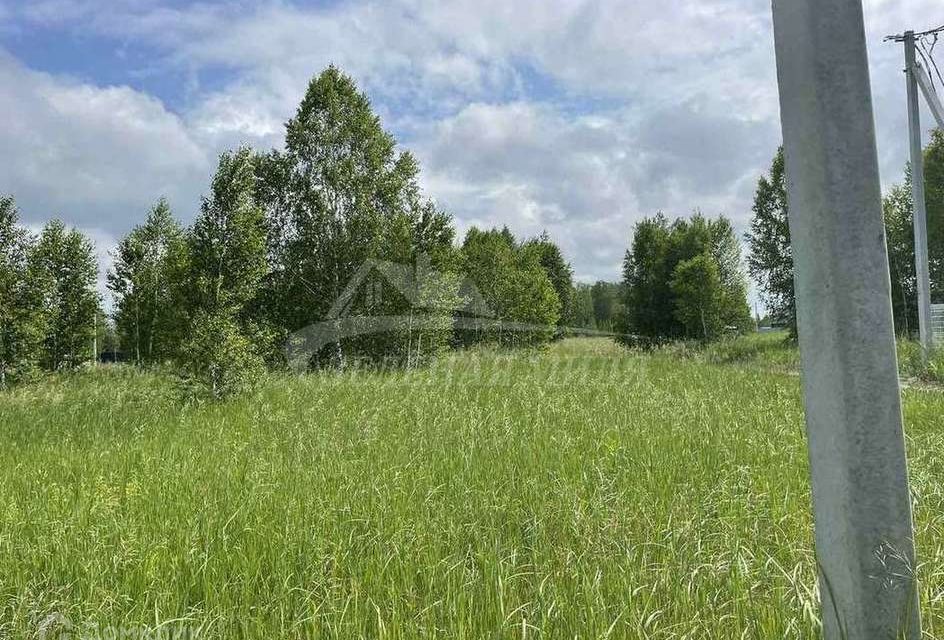 земля г Тюмень Тюмень городской округ, СОСН Зелёный бор фото 1