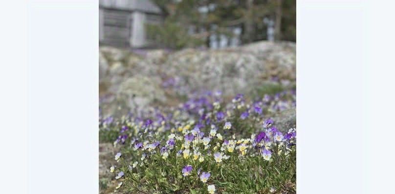 дом г Сортавала п Ламберг Сортавальское городское поселение фото 16