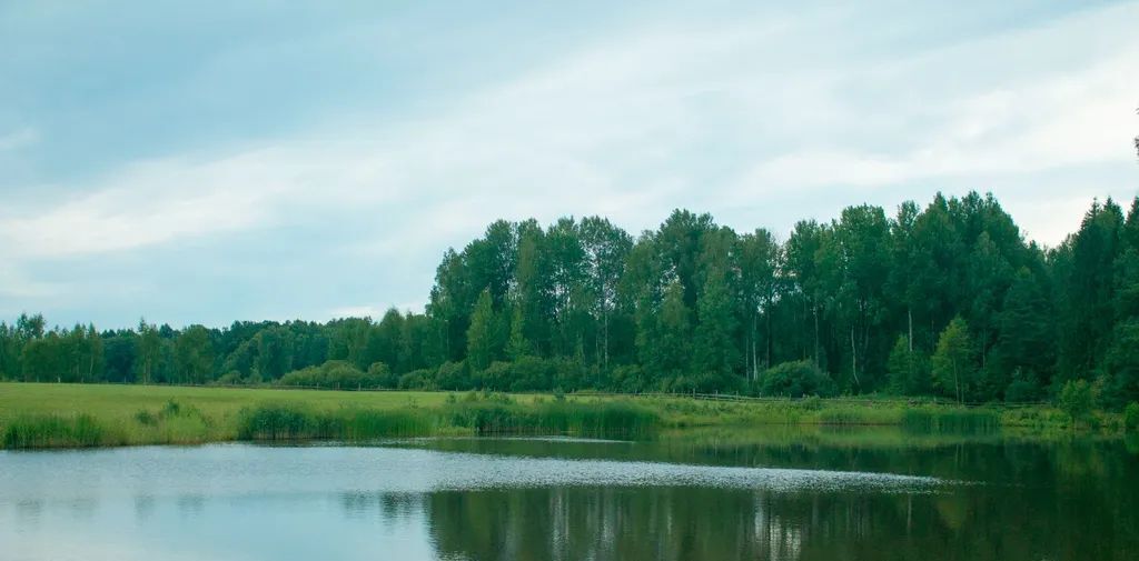 дом р-н Краснознаменский п Долгое ул Центральная 19 Краснознаменский муниципальный округ фото 41