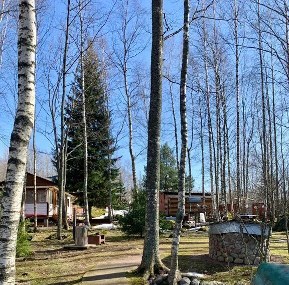 дом р-н Выборгский п Медянка ул Рыбацкая 8 Советское городское поселение фото 29