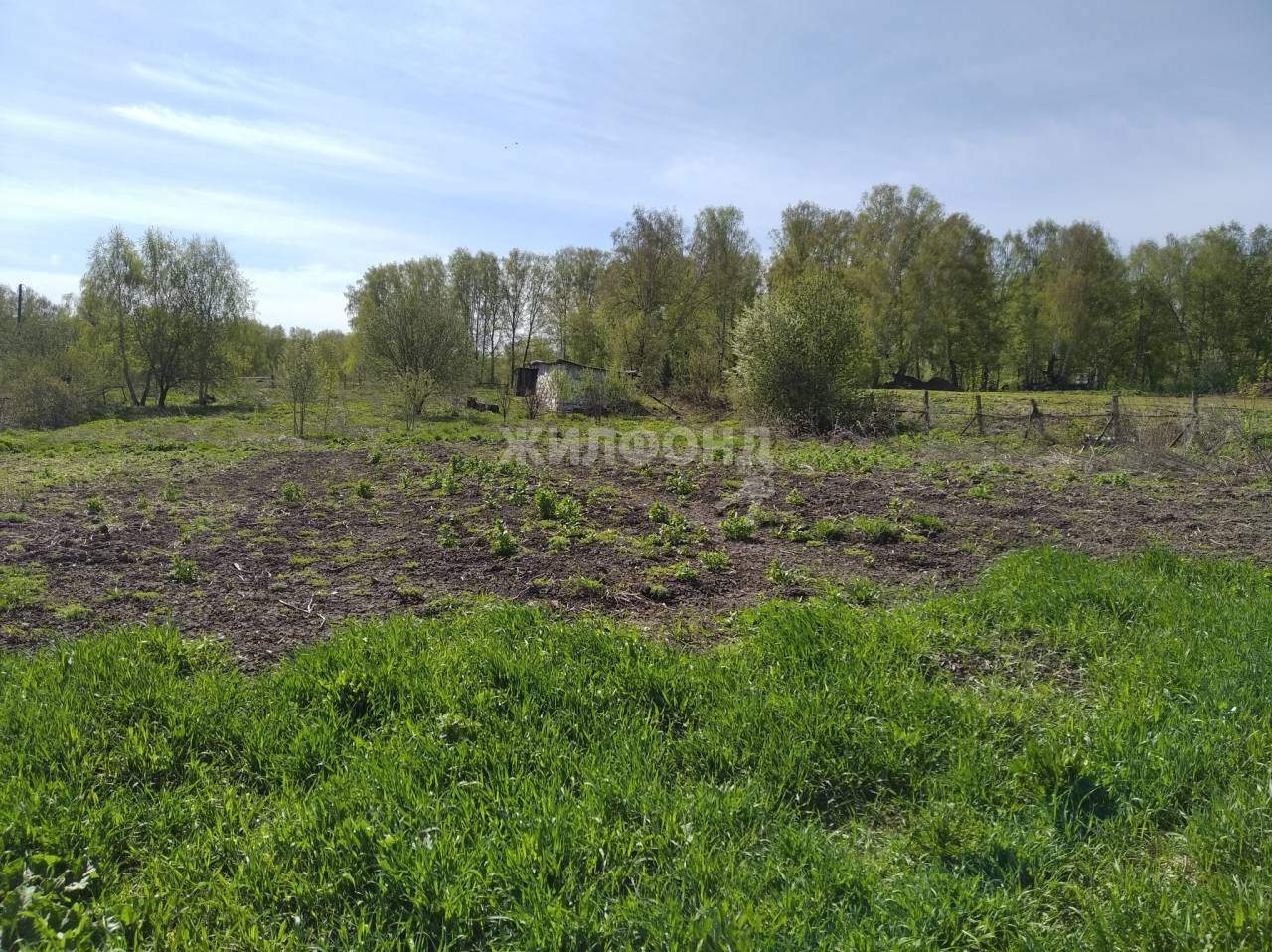 дом р-н Тогучинский с Владимировка ул Центральная фото 13