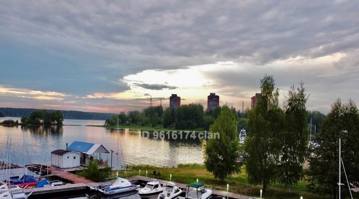 дом городской округ Дмитровский д Липино ул Советская фото 25