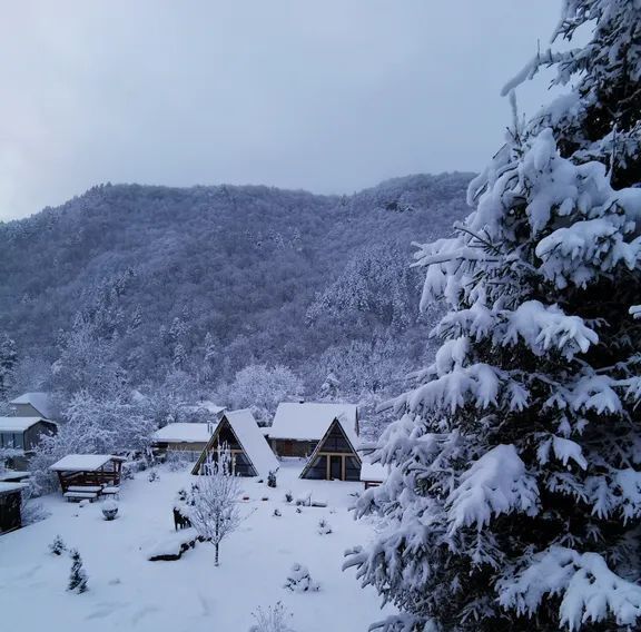 дом р-н Урупский п Азиатский ул Гагарина 16 фото 18