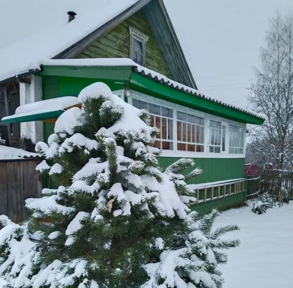 дом р-н Селижаровский д Шихино ул. Центральная, 31 фото 17