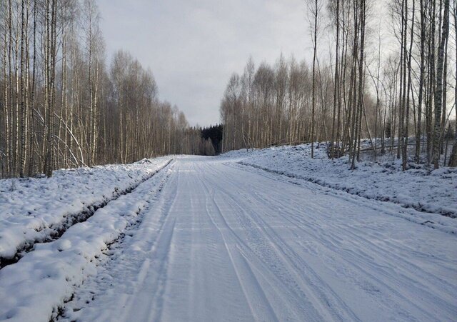 35 км, Деденево, Дмитровское шоссе фото