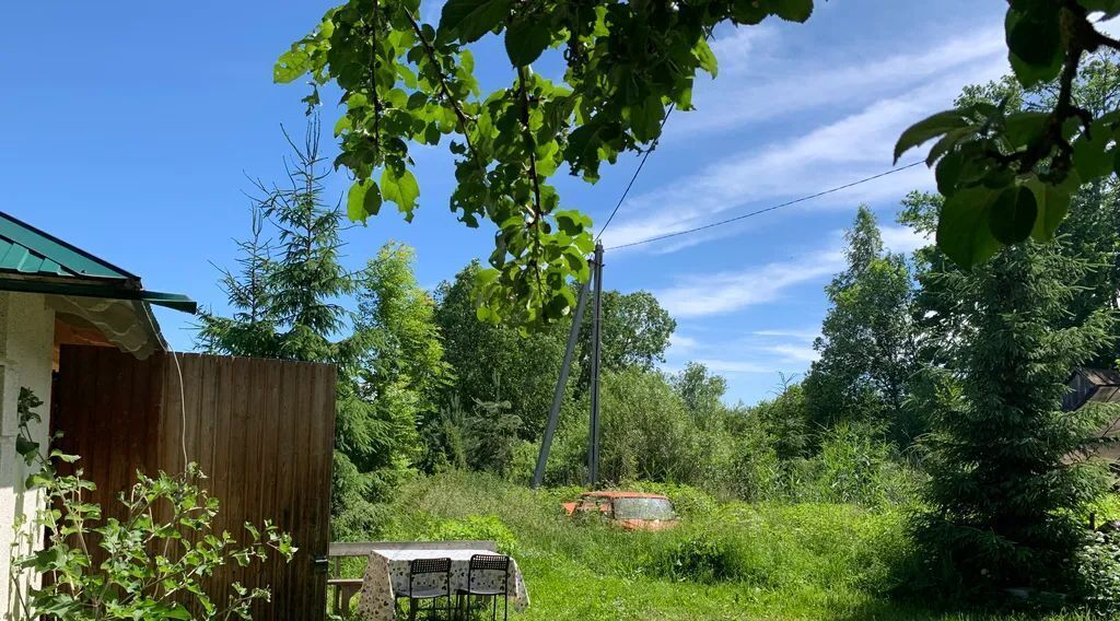 дом р-н Гдовский д Кобылье Городище Самолвовская волость фото 9