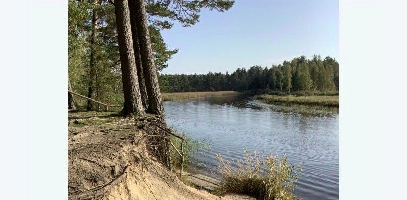 дом р-н Осташковский г Осташков д Горбово ул Центральная 12 фото 31