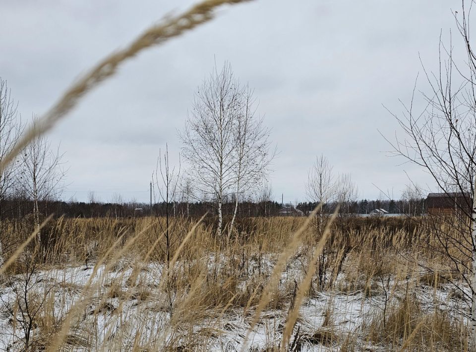 офис городской округ Луховицы п Совхоза Астапово ул. Лукина фото 1