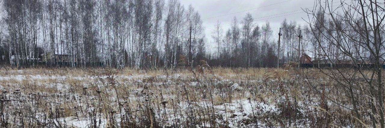 офис г Кашира д Пенье снт Рассвет-1 ул Березовая фото 1