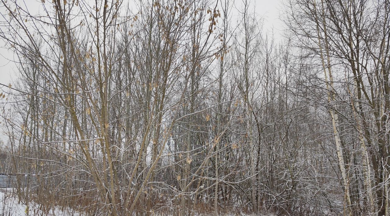 офис городской округ Орехово-Зуевский г Ликино-Дулёво фото 4