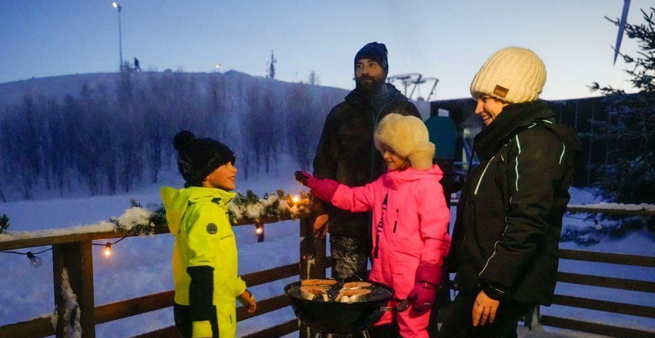 дом р-н Ломоносовский Виллозское городское поселение, Горнолыжного спорта Туутаревская зона, 1Б фото 9