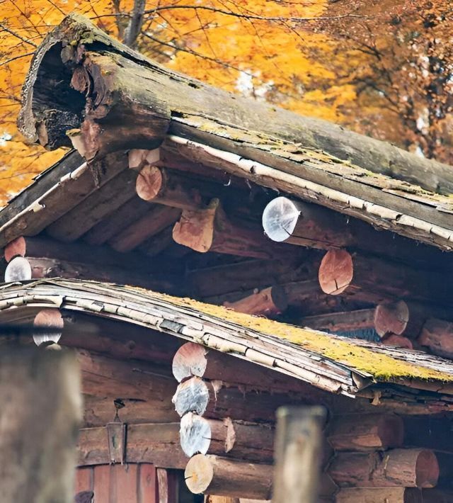 дом городской округ Одинцовский г Звенигород ш Ратехинское 3С фото 2