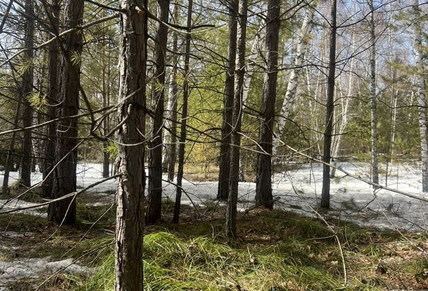 земля р-н Первомайский с Баюновские Ключи Новоалтайск фото 11