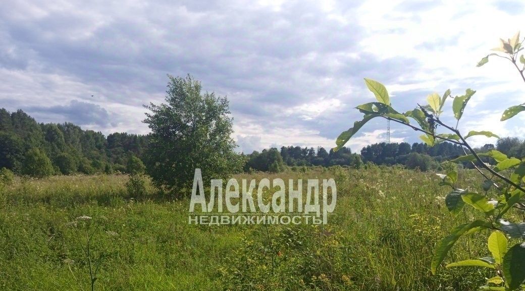 земля р-н Лодейнопольский д Кургино Алеховщинское с/пос, 3 фото 4