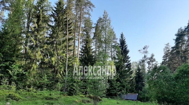 п Красный Сокол Каменногорское городское поселение, пос. Славянское фото