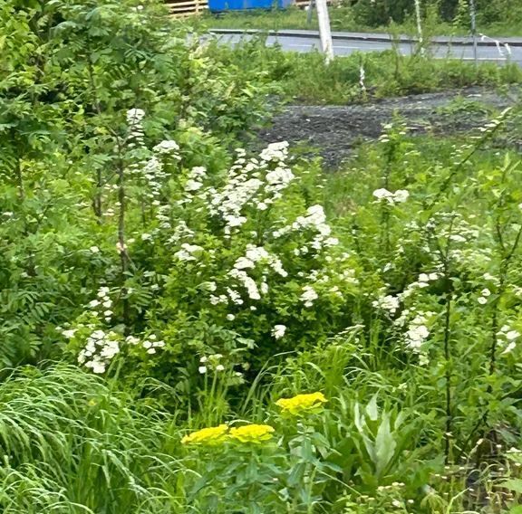 дом р-н Таштагольский пгт Шерегеш ул Весенняя 40 Шерегешское городское поселение фото 32