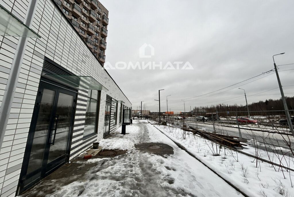 производственные, складские городской посёлок Янино-1, Ладожская, жилой комплекс Янинский Лес, к 15 фото 5