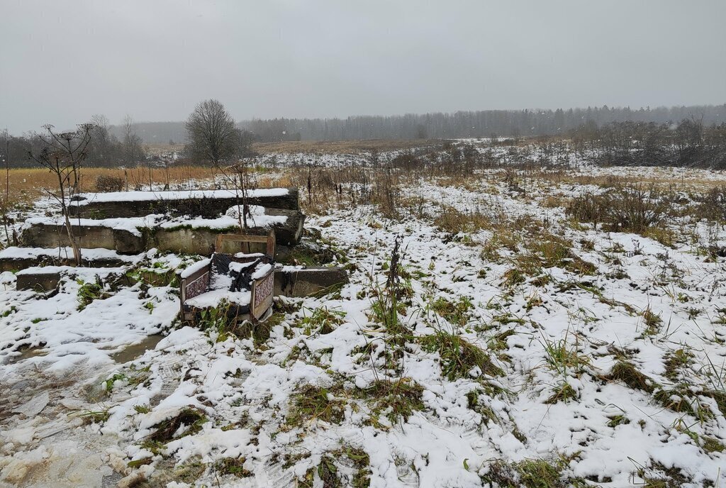 земля Тосненское городское поселение, деревня Усадище фото 7