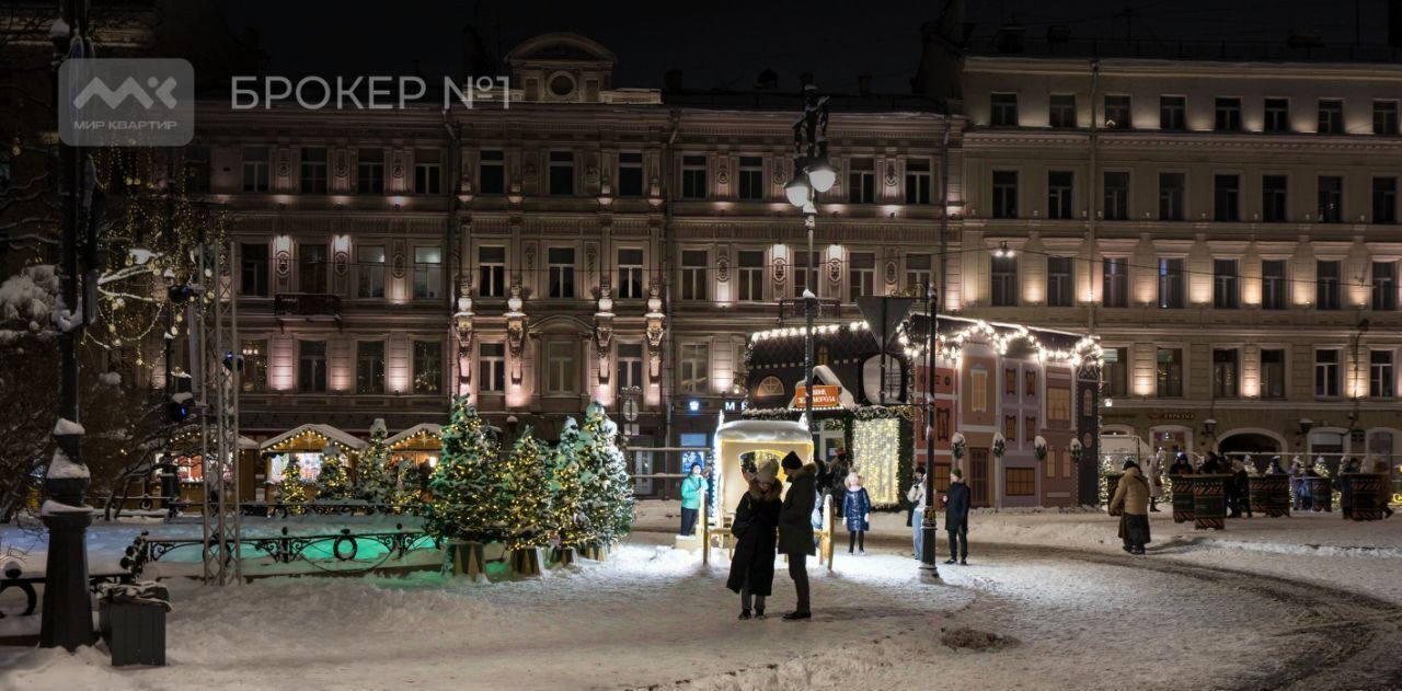 квартира г Санкт-Петербург метро Гостиный Двор ул Итальянская 33 Дворцовый округ фото 22