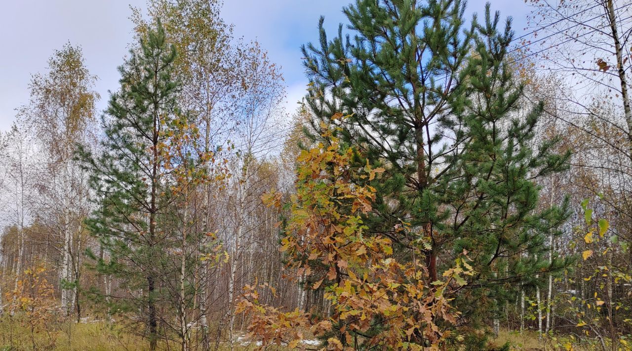 офис городской округ Чехов п Мещерское фото 1