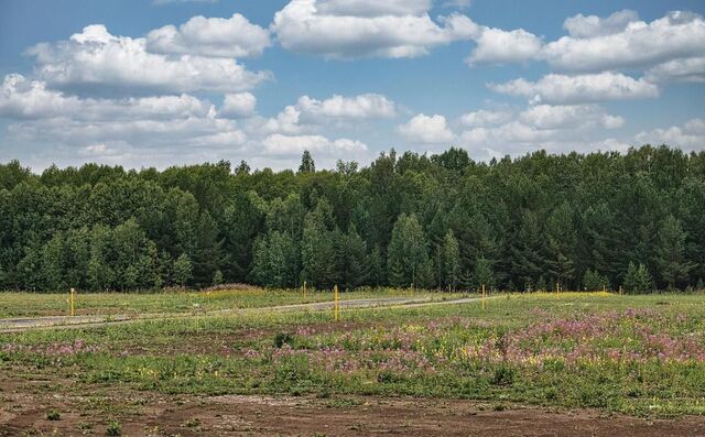 р-н Ярославский д Некрасово ул Дорожная 19 Некрасовское сельское поселение, Ярославль фото