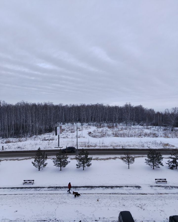 квартира р-н Сосновский п Западный мкр-н Вишнёвая Горка, Изумрудная ул., 1, Челябинск фото 16