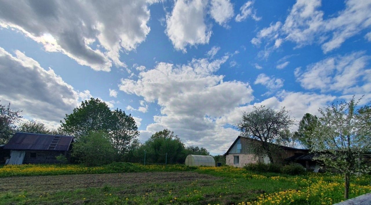 дом р-н Сланцевский д Клин Выскатское с/пос, Проспект Ветеранов фото 19