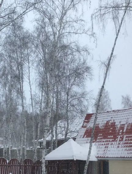 дом р-н Белорецкий с Новоабзаково ул Луговая 1-я 2 Абзаковский сельсовет фото 3