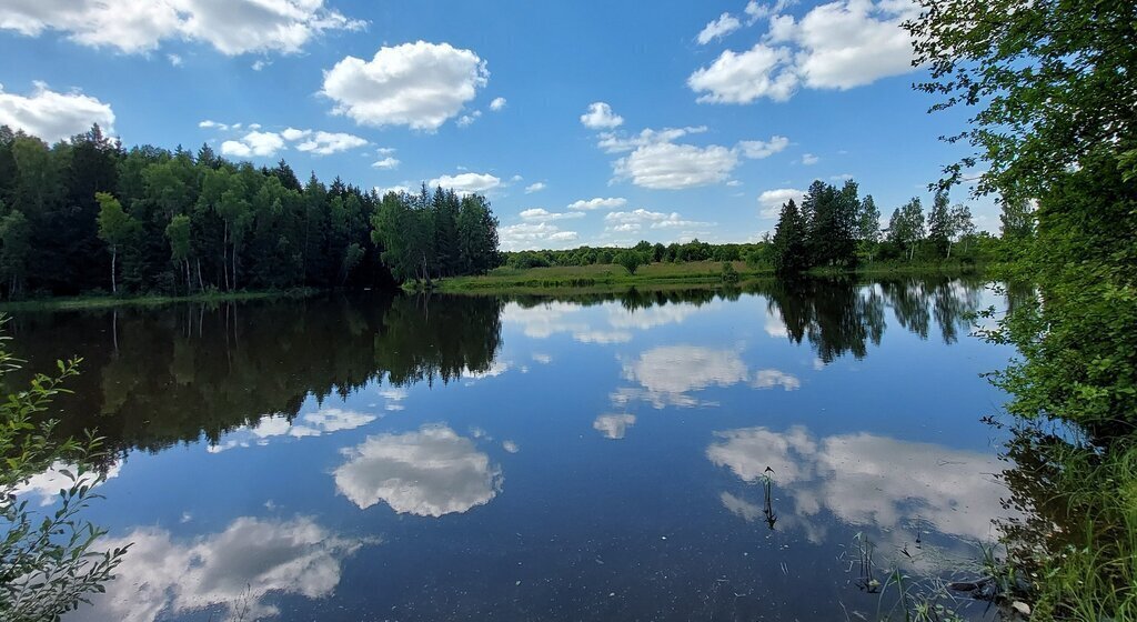 земля р-н Боровский д Старомихайловское сельское поселение Ворсино фото 1