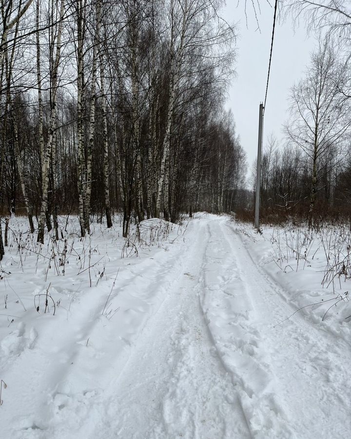 дом р-н Богородский д Березовка ул Молодежная Богородск фото 6