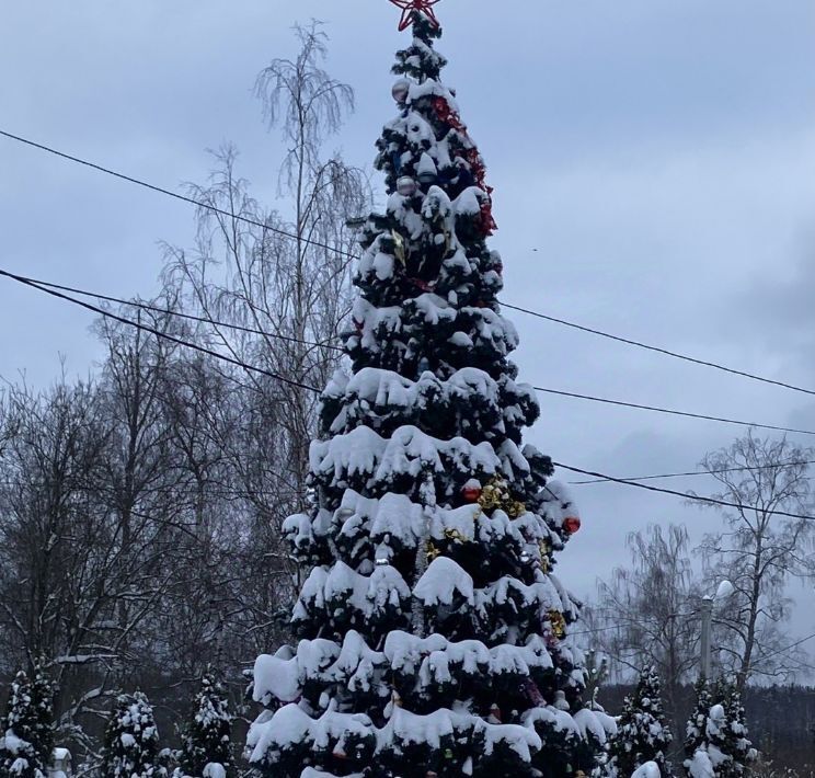 квартира городской округ Дмитровский п Новое Гришино ул. Г. Г. Королева, 13 фото 13