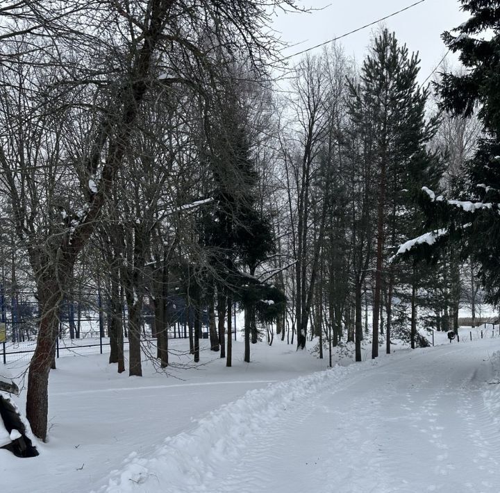 земля городской округ Мытищи д Большое Ивановское фото 18