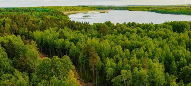 Токсовское городское поселение, Экофорест кп фото