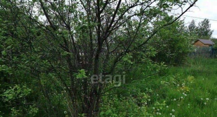 дом р-н Ярославский с Сарафоново снт Космос Ивняковское с/пос, 113 фото 3