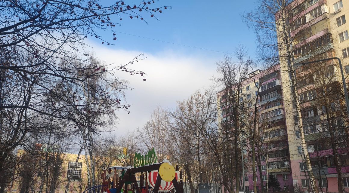 квартира г Балашиха ул Пионерская 1 Новокосино фото 15