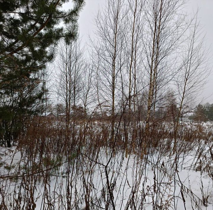 офис городской округ Павловский Посад д Гаврино 40 фото 1