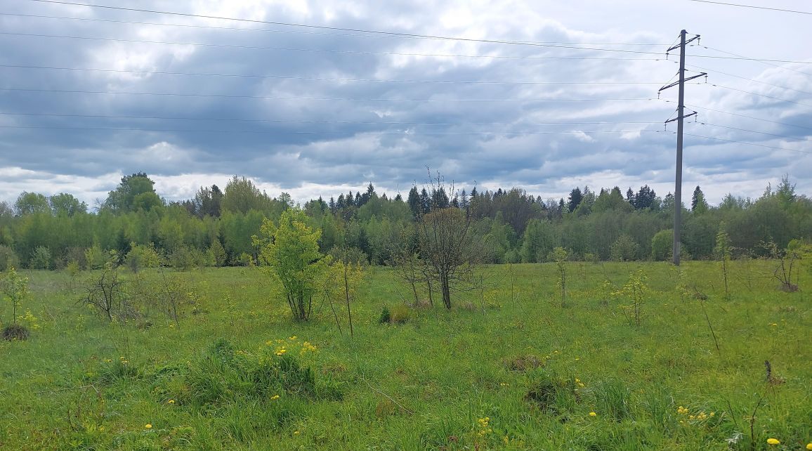 офис городской округ Наро-Фоминский г Верея фото 2