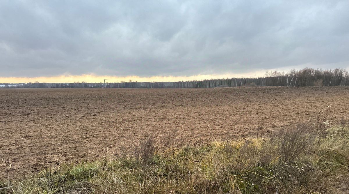 офис городской округ Богородский д Афанасово-1 фото 1