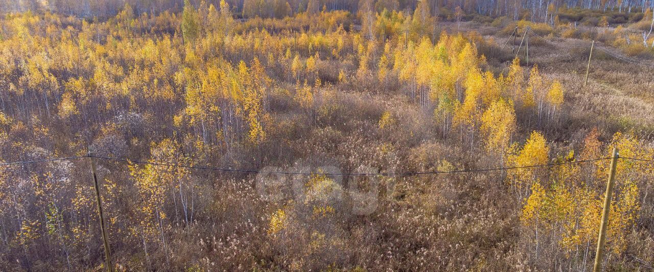 земля г Тюмень р-н Центральный снт Большое Царево-1 ТСН фото 20