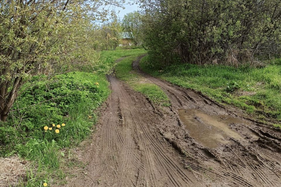 земля городской округ Павловский Посад деревня Семёново фото 4