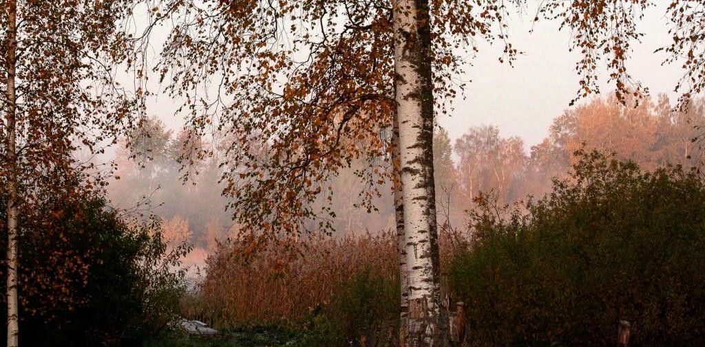 дом р-н Приозерский п Беличье ул Озерный берег 14 Ларионовское с/пос фото 23