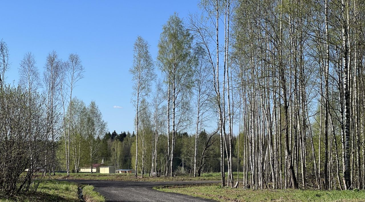 земля городской округ Сергиево-Посадский Яркое кп, 117 фото 1