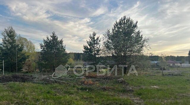 ул Кирова Нижнетавдинское сельское поселение фото