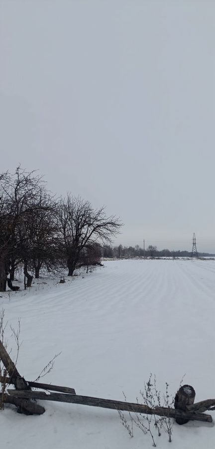 дом р-н Борисоглебский с Чигорак Борисоглебск фото 4