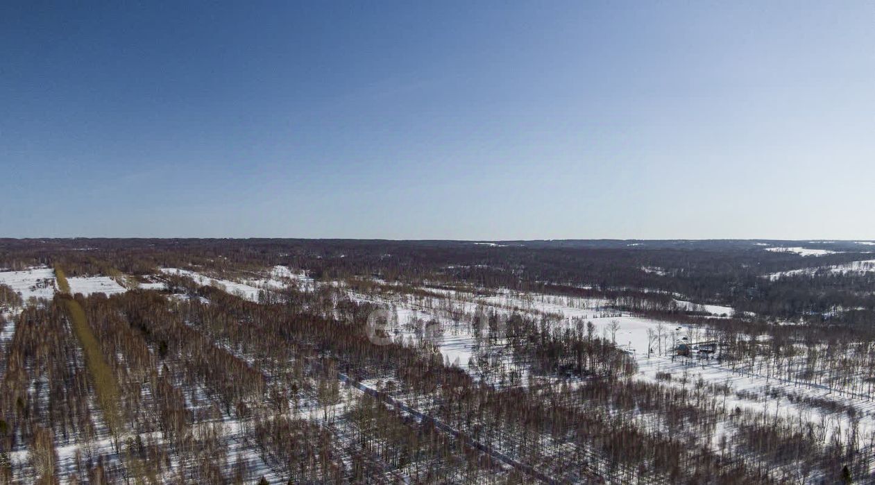 земля р-н Новосибирский п Березовка Березовский сельсовет фото 1