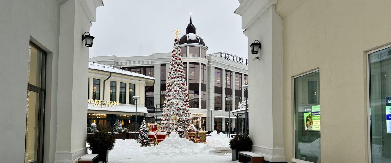 квартира городской округ Истра д Писково Нахабино, 165 фото 11