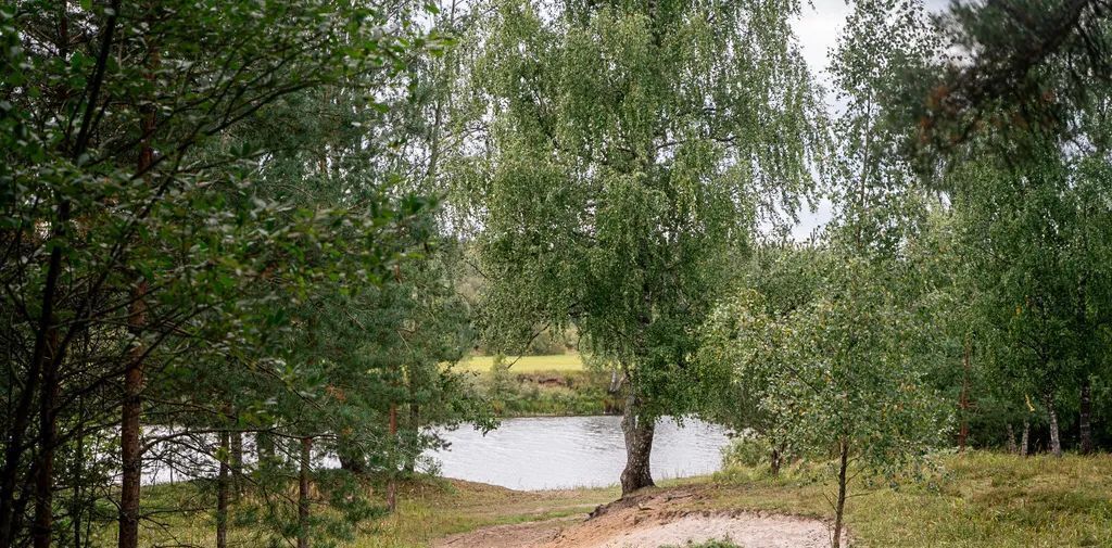 дом р-н Волосовский д Изори Сабское с/пос, ул. Центральная, 24 фото 4